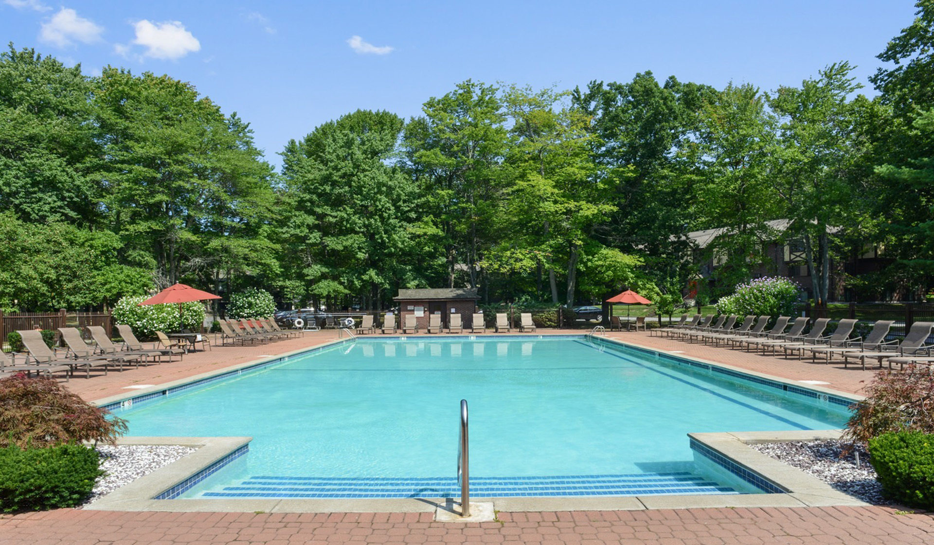 Luxurious outdoor pool area surrounded by lush greenery, featuring cozy lounge chairs and shaded umbrellas for a perfect relaxation spot.