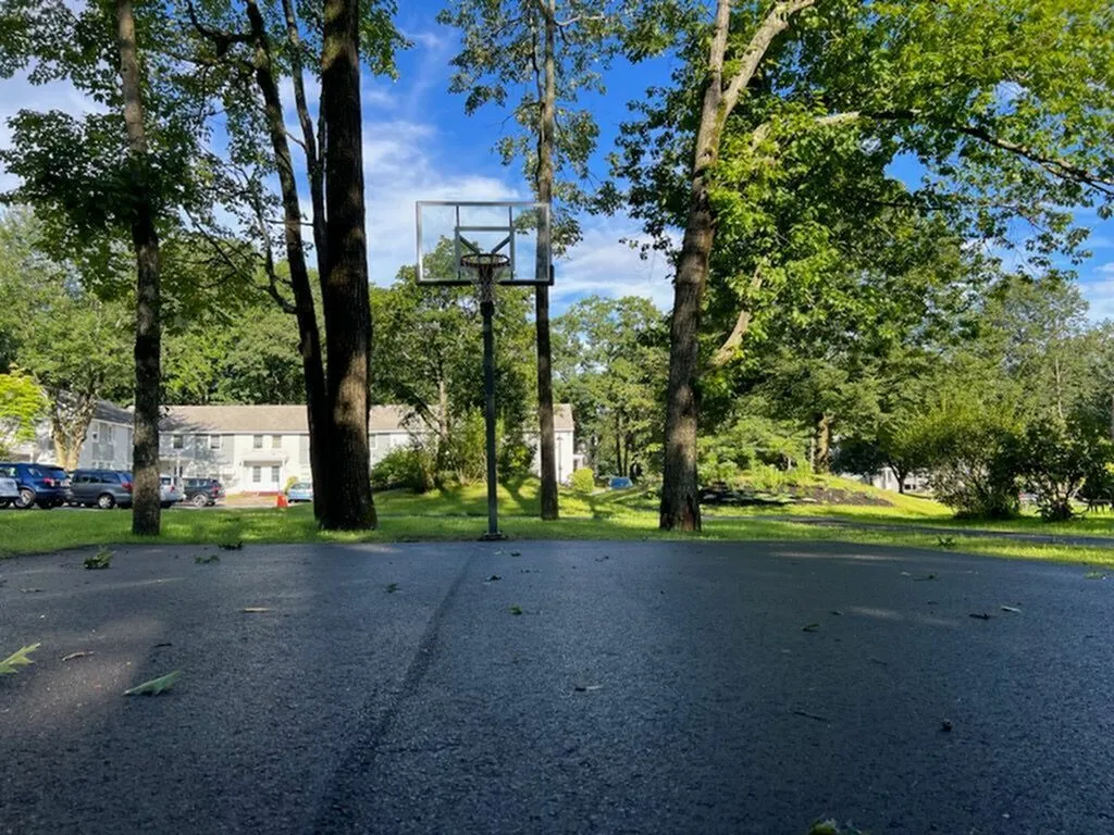 Inviting outdoor basketball court surrounded by lush greenery and residential buildings under a clear blue sky.