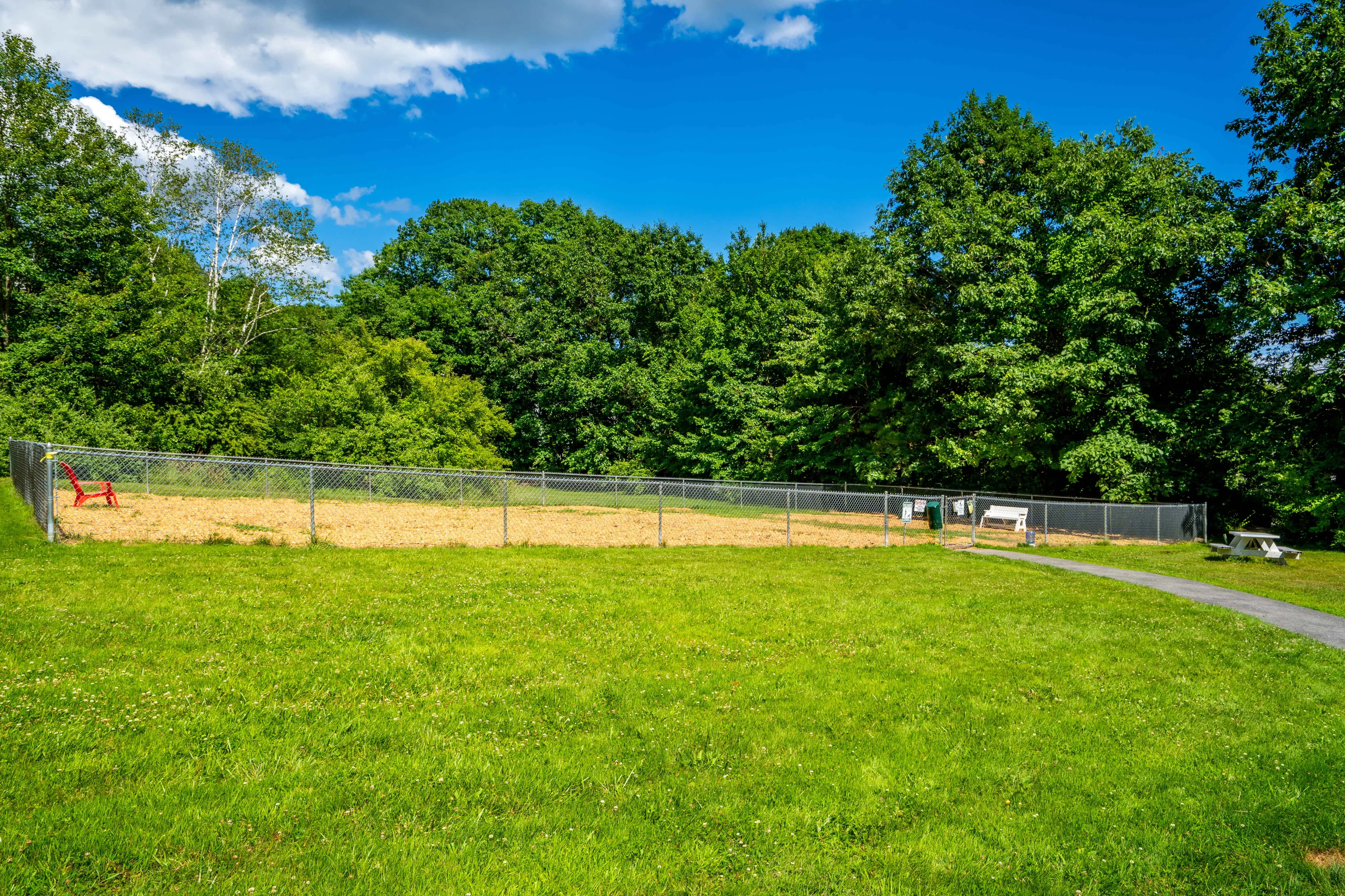 Expansive fenced-in outdoor area with lush green grass, surrounded by vibrant trees and a cozy red chair, perfect for relaxation and leisure.