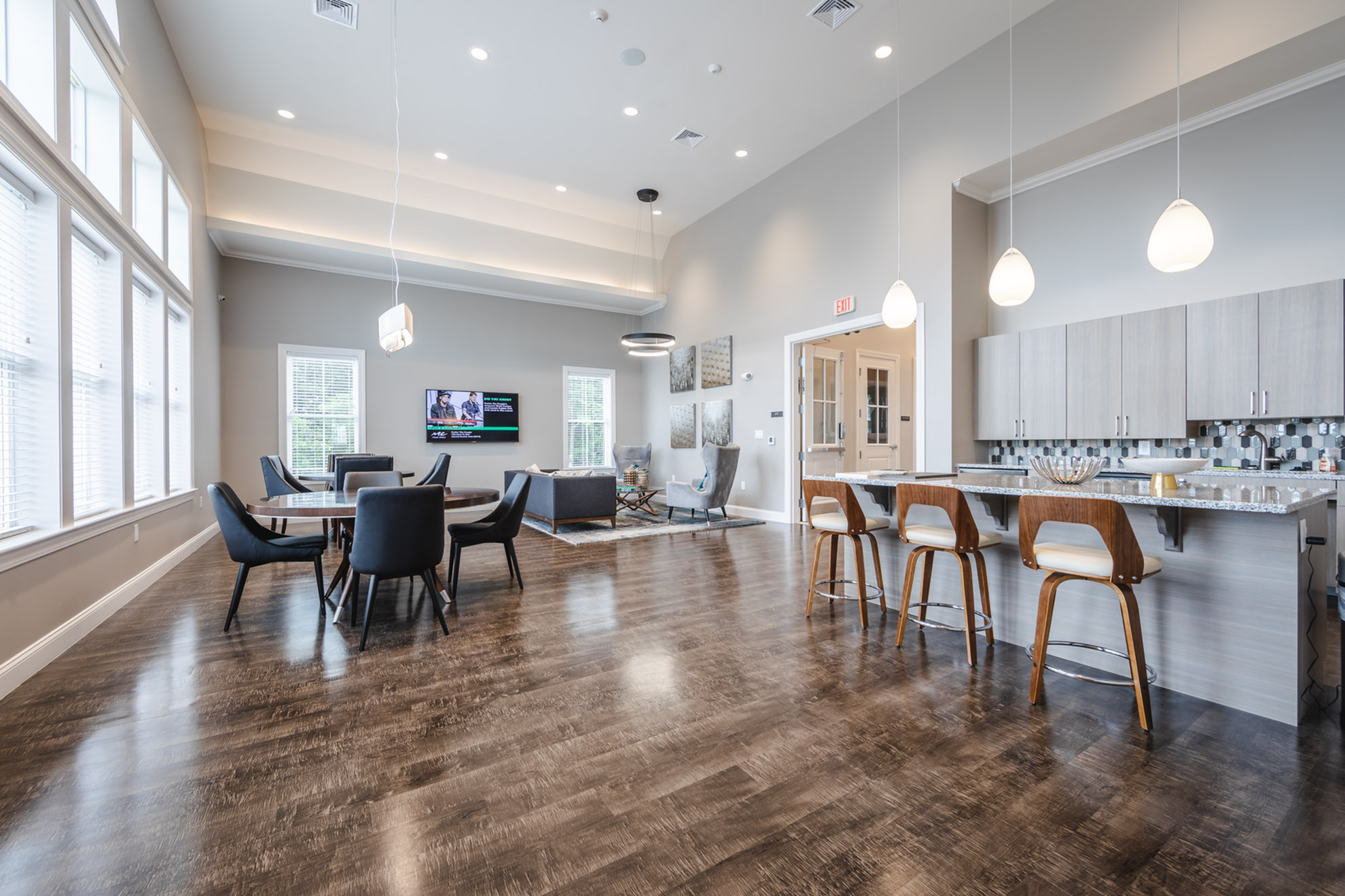 Luxurious open-concept living room with sleek kitchen area, modern furnishings, and ample natural light for a contemporary feel.