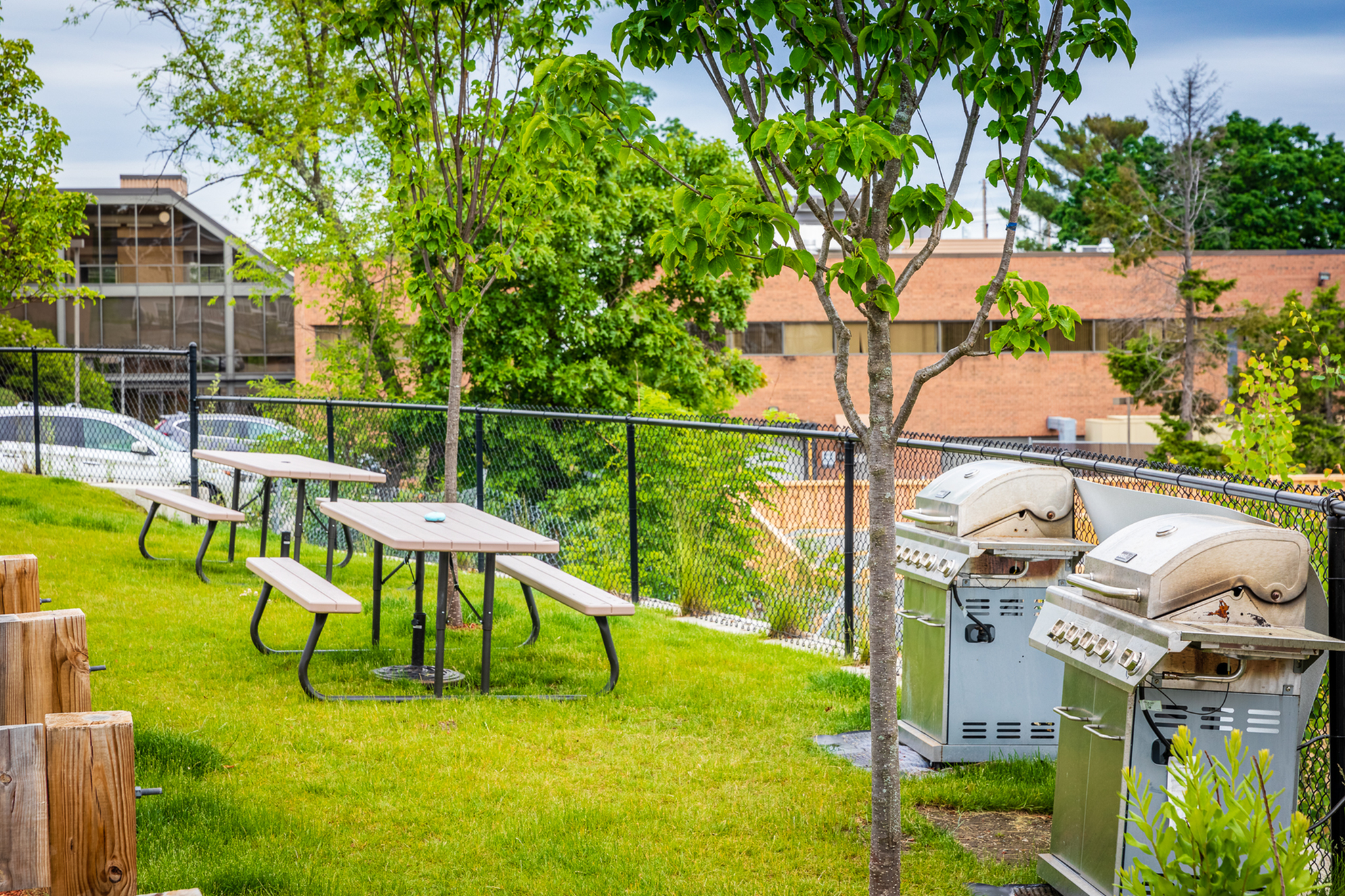 Inviting outdoor space featuring picnic tables and dual stainless steel grills, surrounded by lush greenery&mdash;perfect for gatherings and enjoying nature.