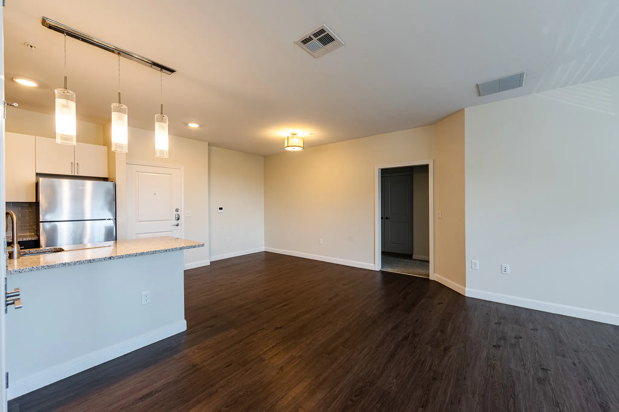 Modern open-plan kitchen and living area with elegant lighting, stainless steel appliances, and sleek hardwood flooring.