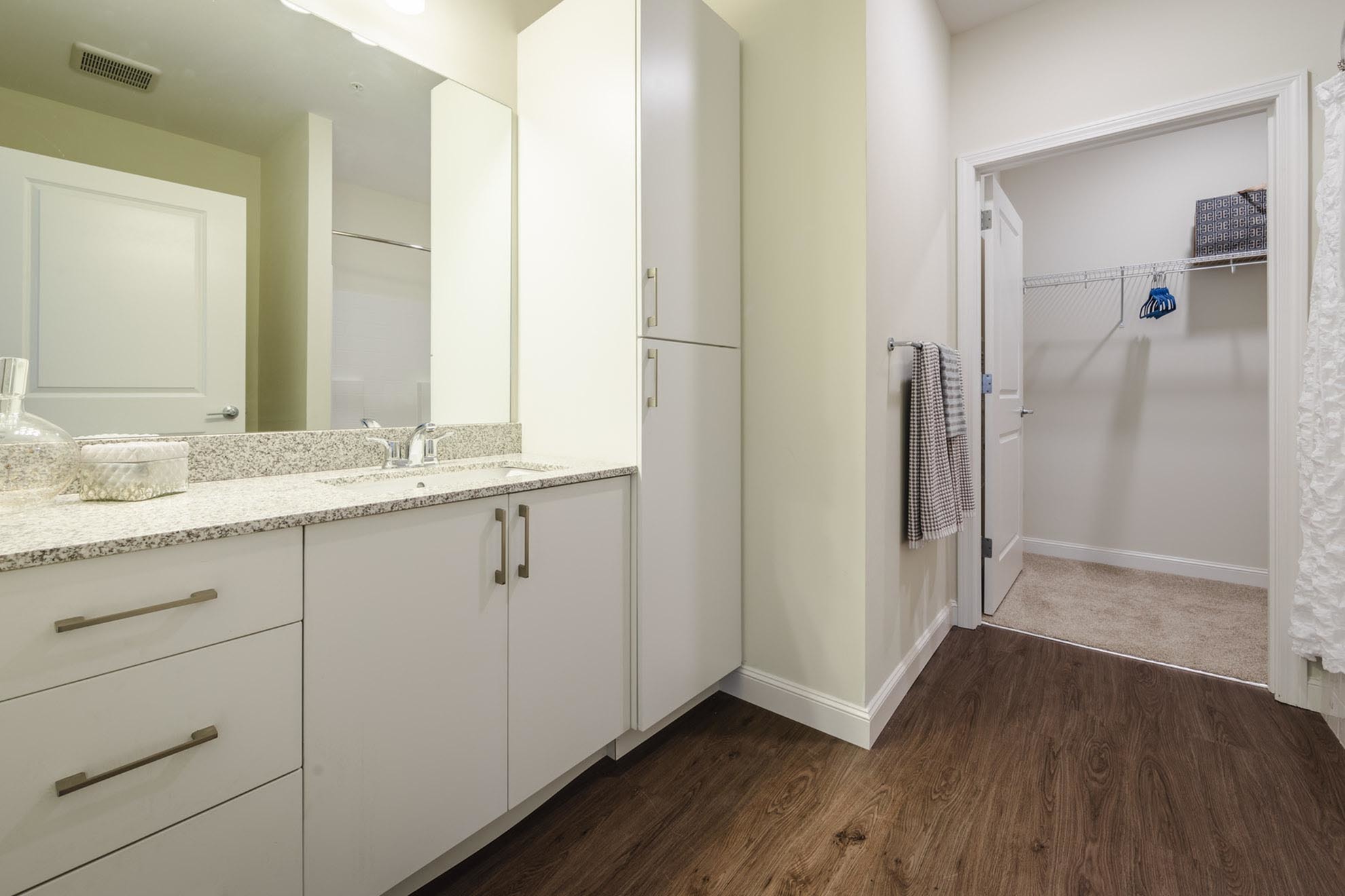 Elegant bathroom with granite countertop, sleek cabinetry, and spacious walk-in closet, featuring warm wooden flooring.