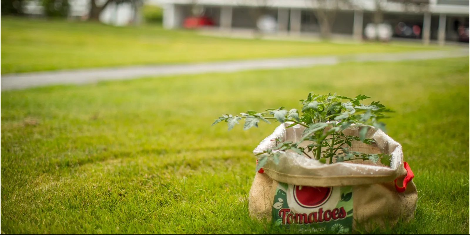 Image of a plant in a burlap bag waiting to be planted | Apartments For Rent In Falmouth, ME