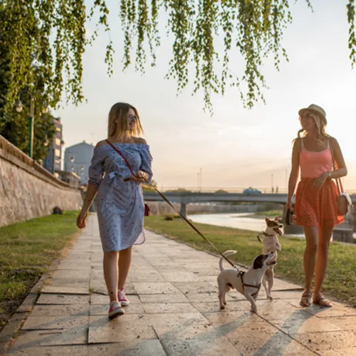 riverwalk lofts | Two women walking dogs on a riverside path in the evening light. One wears a blue dress, the other a pink top and red skirt. The river is calm, and leaves hang overhead, creating a peaceful scene. | apartments in lawrence