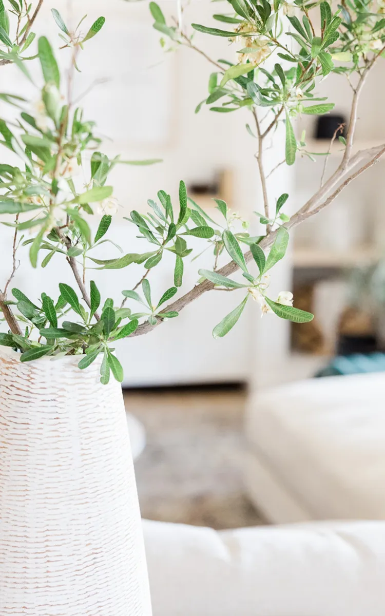 Elegant interior showcasing a modern, minimalist room with lush greenery in a stylish vase, creating a tranquil atmosphere.