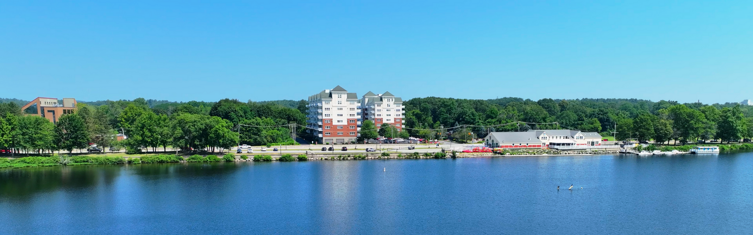 Charming lakeside view featuring modern apartment buildings surrounded by lush greenery and clear blue skies.