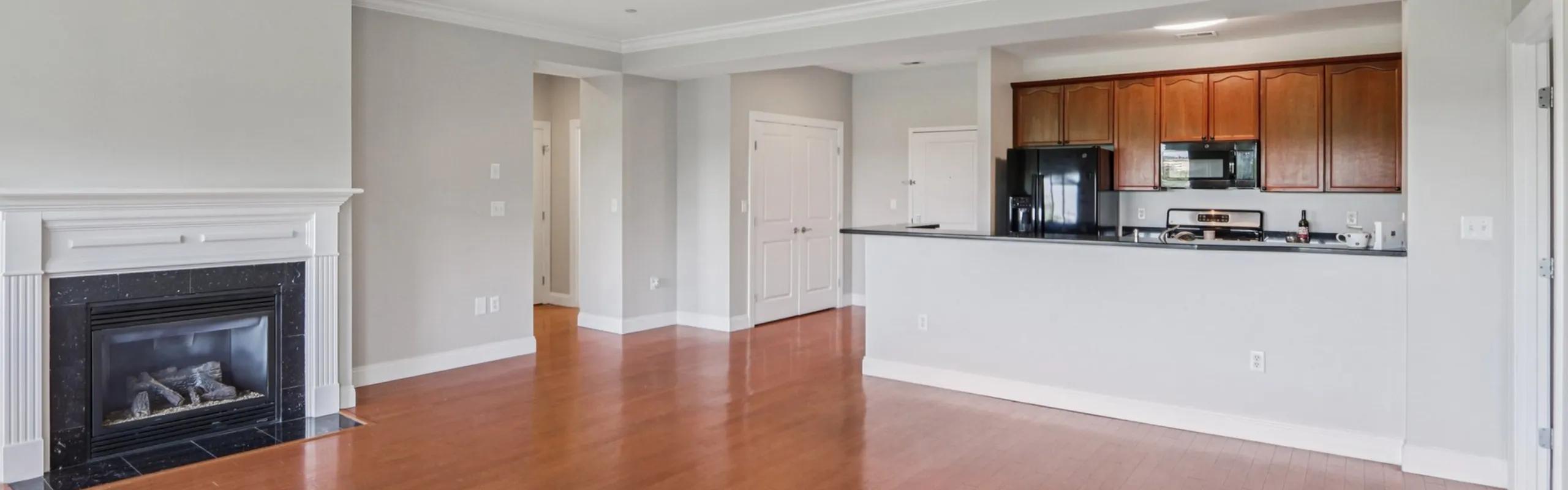 Chic open-floor living space featuring elegant fireplace and modern kitchen with sleek cabinetry and appliances.