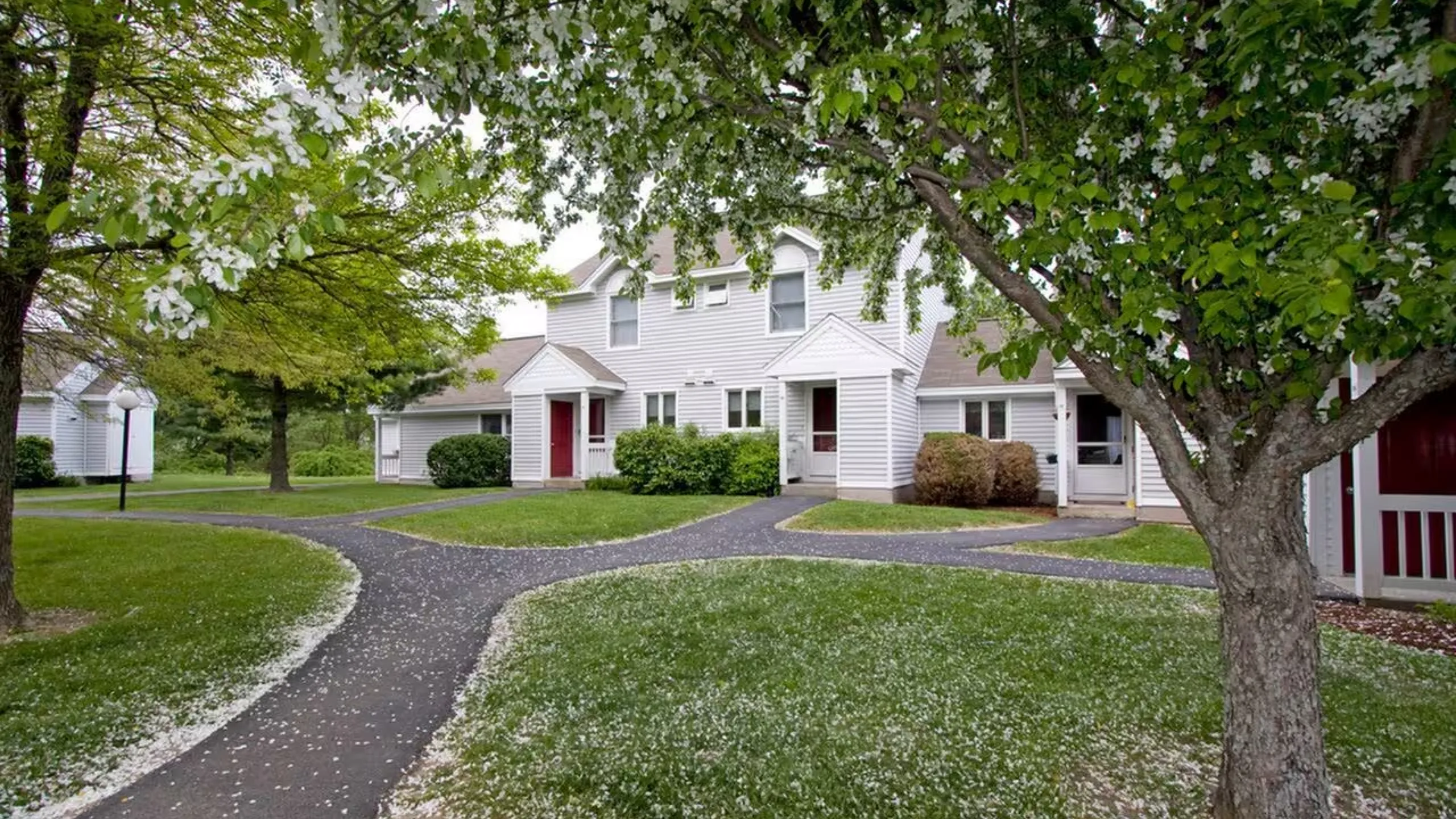 Charming residential scene showcasing a cozy townhouse with white siding, surrounded by lush greenery and flowering trees in a serene neighborhood.