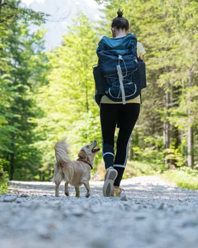 Inviting nature trail with vibrant greenery, featuring a person and a dog enjoying an adventurous hike in the forest.