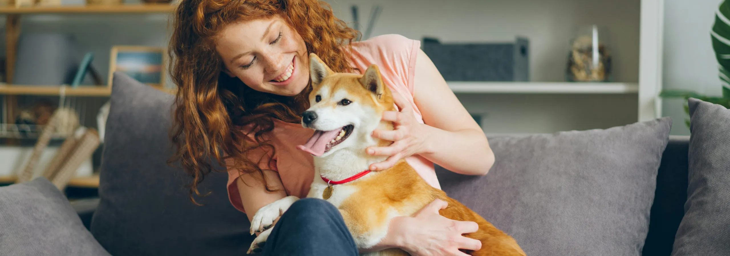 Cozy living space featuring a joyful person and their happy dog on a plush sofa, surrounded by stylish decor.