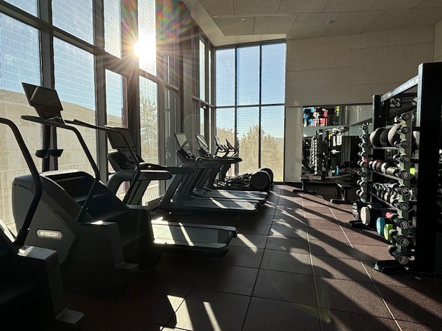 Modern gym with sleek treadmills, expansive windows, and a variety of free weights bathed in natural sunlight.