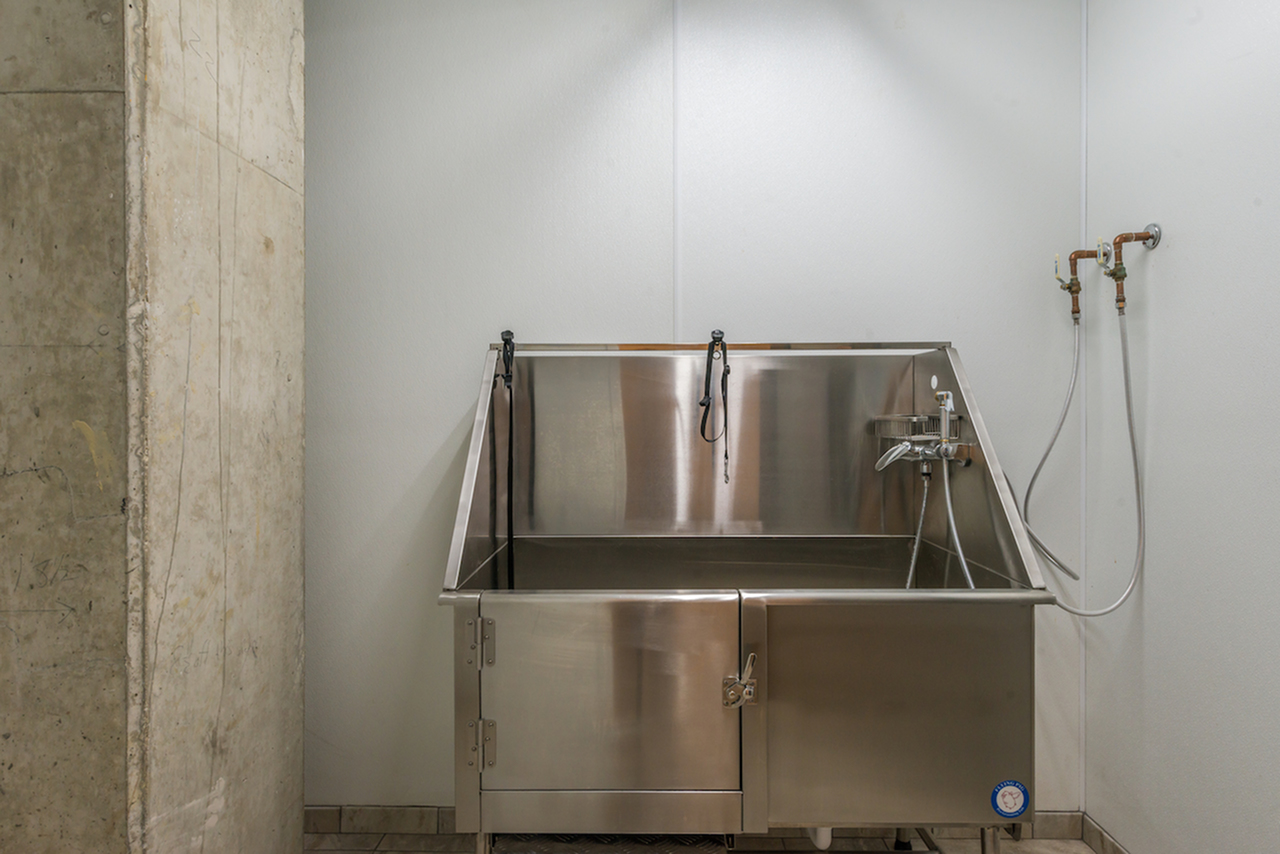 Image of Pet Washing Station for Latitude