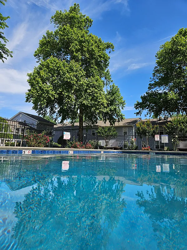 Inviting outdoor pool reflecting lush green trees under a clear blue sky.