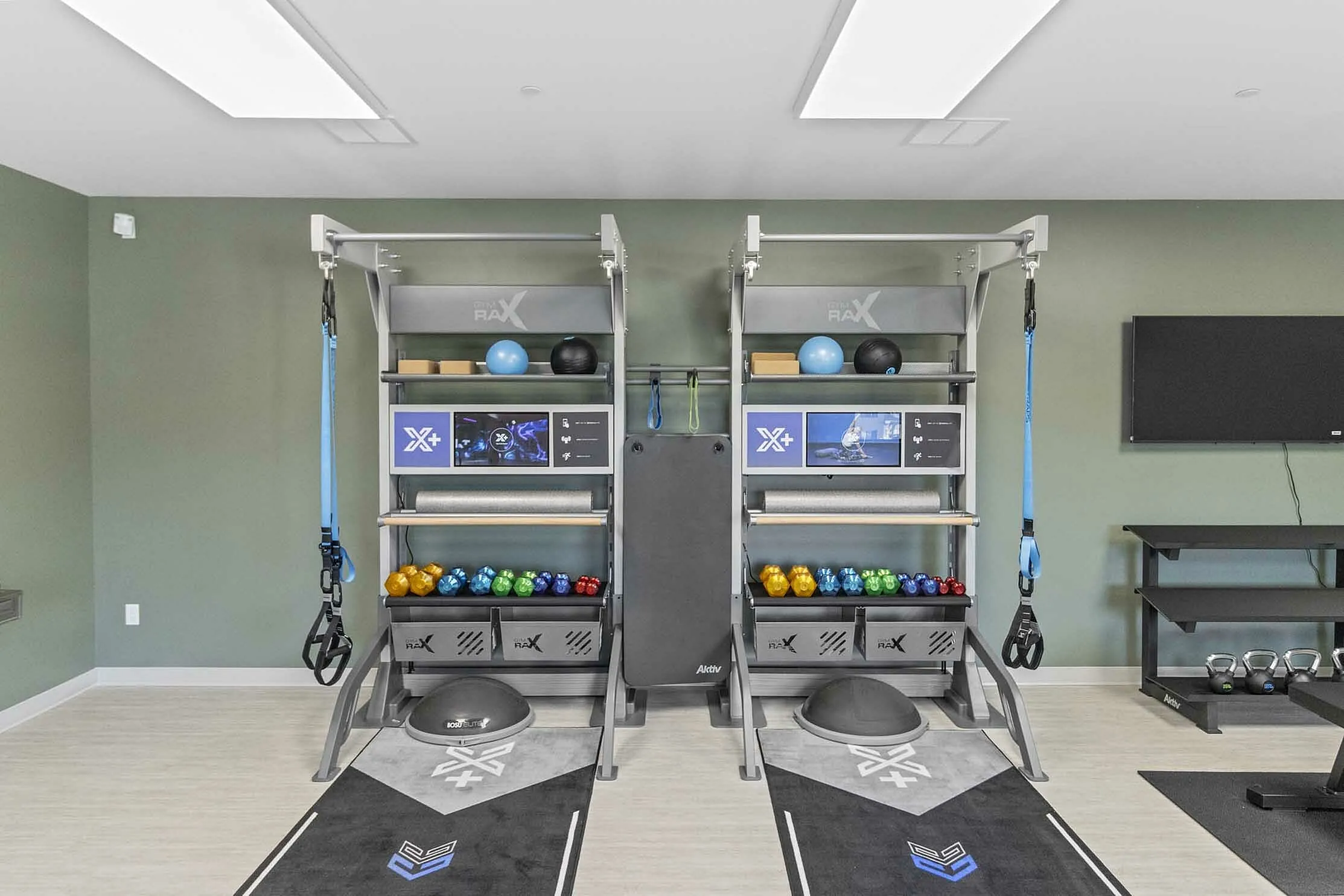 Modern exercise room featuring state-of-the-art workout equipment, vibrant weights, and sleek fitness technology.