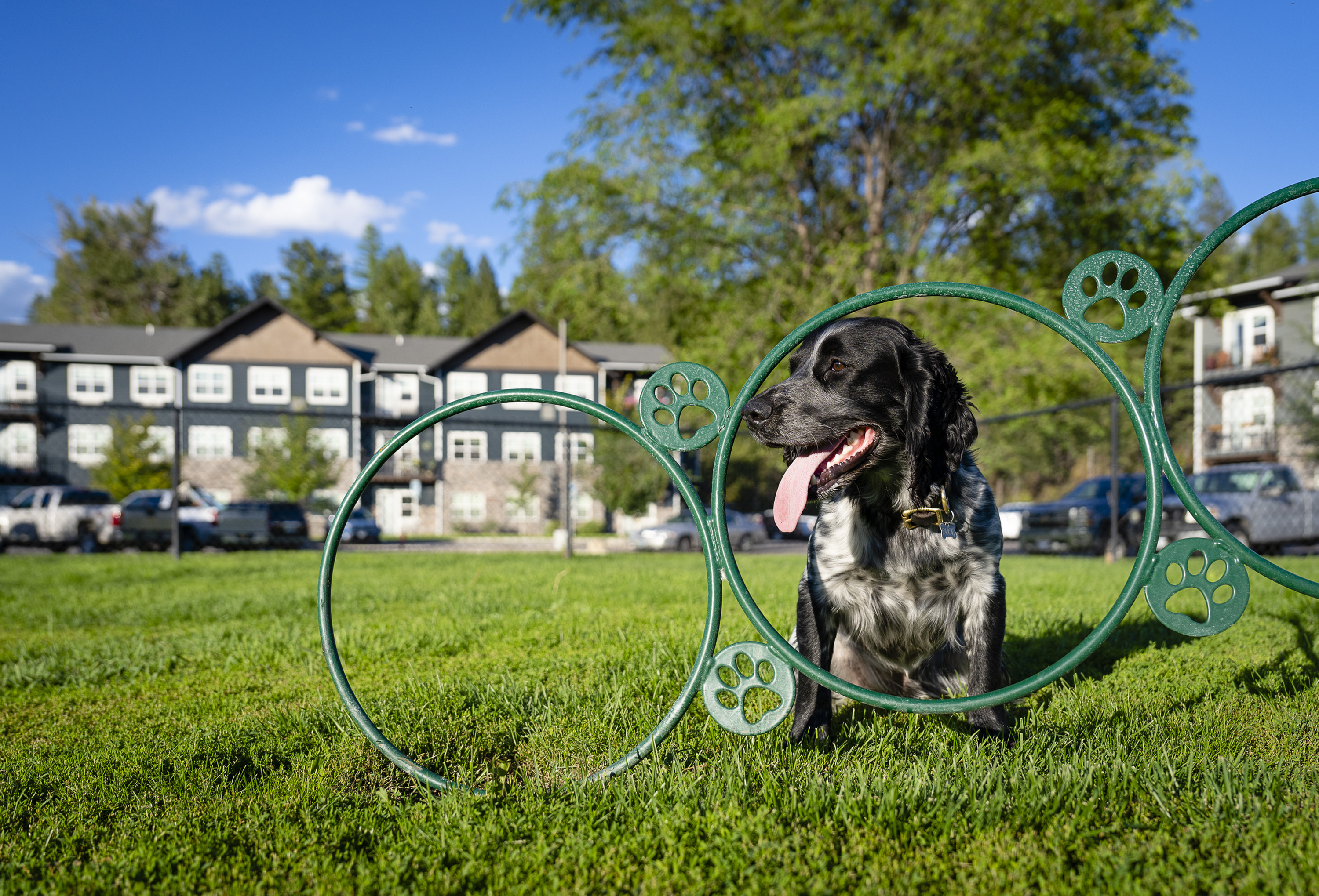 Pet friendly community