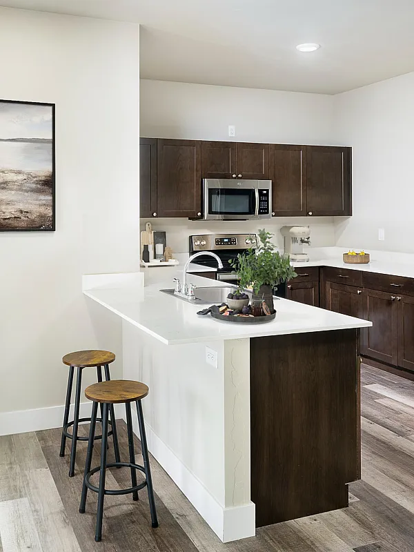 Modern kitchen with sleek stainless steel appliances, elegant dark wood cabinets, and a bright white countertop. Features stylish bar stools and a touch of greenery for a fresh, inviting atmosphere.