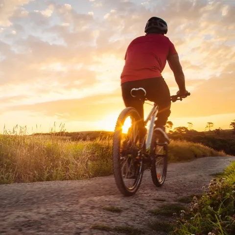 Bike rider on trail