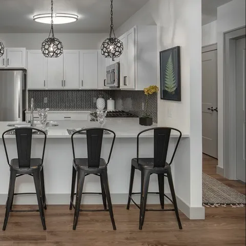 Interior rendering of the kitchen and living room
