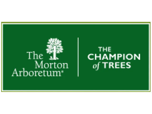 Morton Arboretum