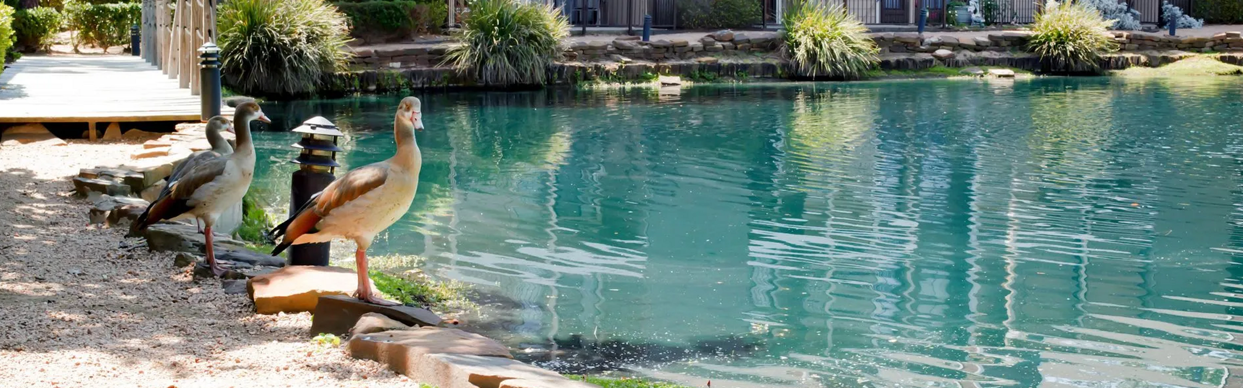 Trailpoint at the Woodlands Apartments | The Woodlands, Texas