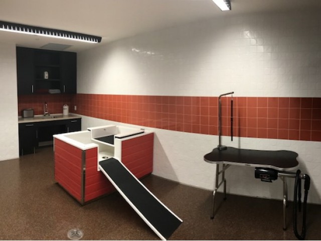 Image of Lavish pet spa with spaces for large and small dogs for 2Hopkins Apts