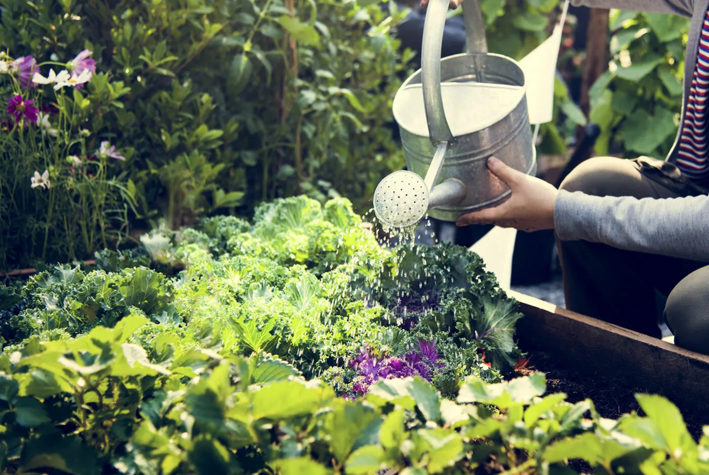 Master Gardeners Alert