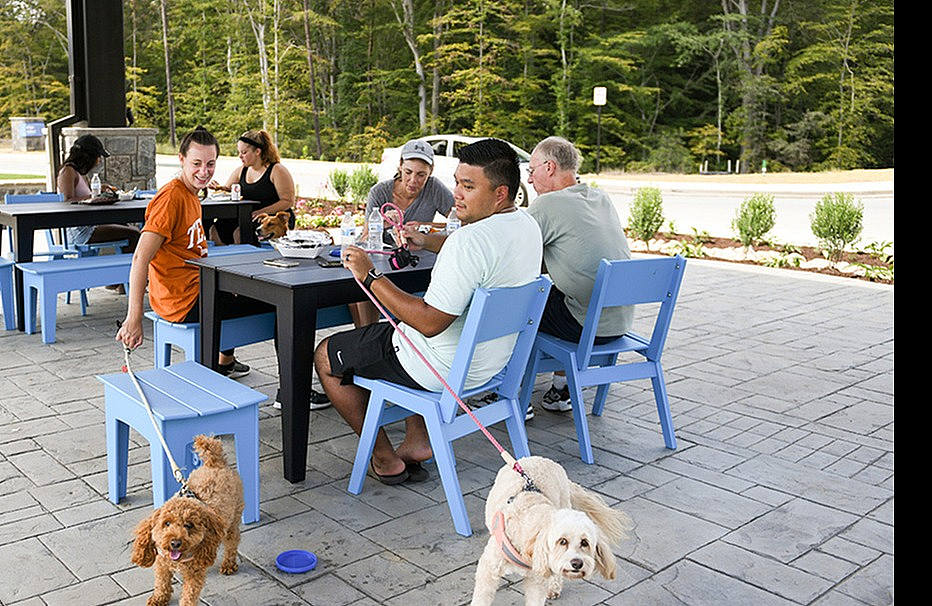 Vibrant outdoor dining scene with people enjoying lunch, surrounded by lush greenery and accompanied by playful dogs.