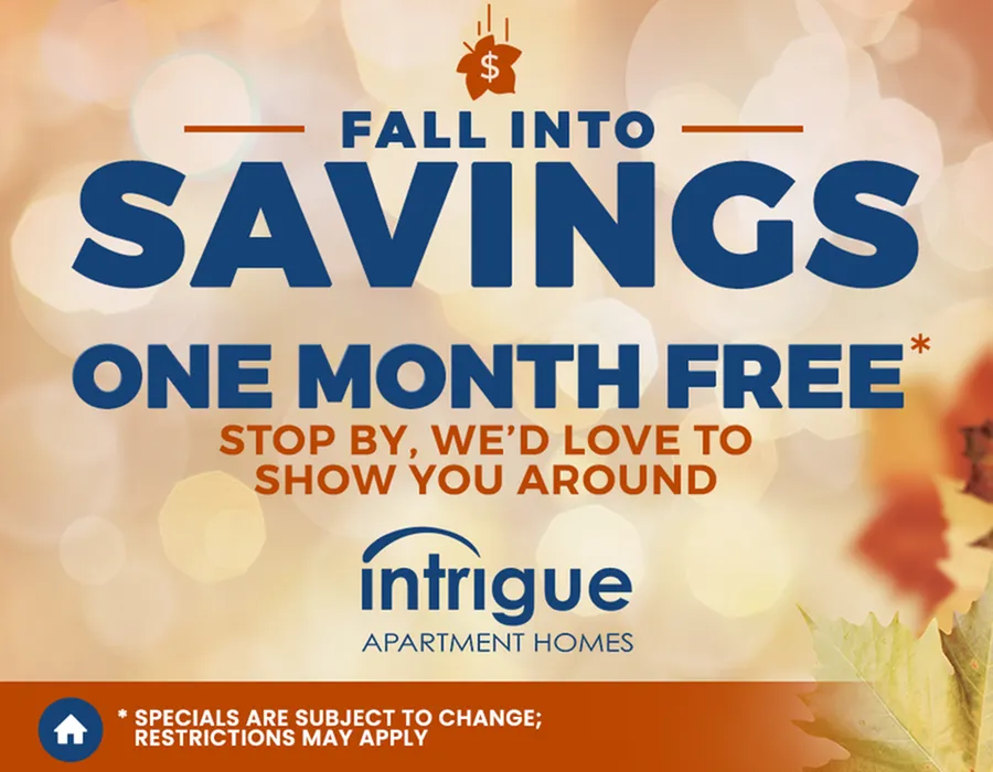 Intrigue Apartments