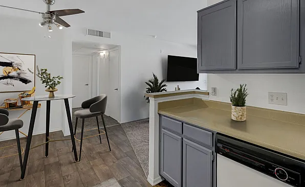 Contemporary apartment kitchen with elegant gray cabinets, vibrant plants, and an inviting open dining area with modern decor.