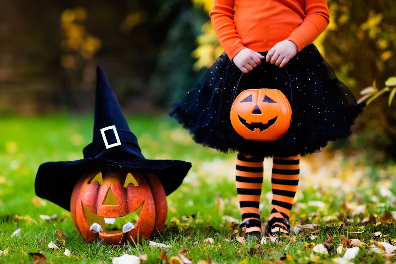 Stay Spooky all Month Long at Cottonwood-image
