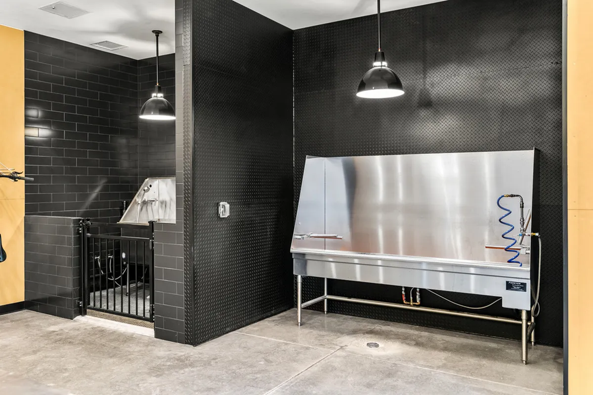 Modern pet washing station with sleek black tile walls, stainless steel fixtures, and ample lighting, offering a convenient and clean environment for pampering pets.