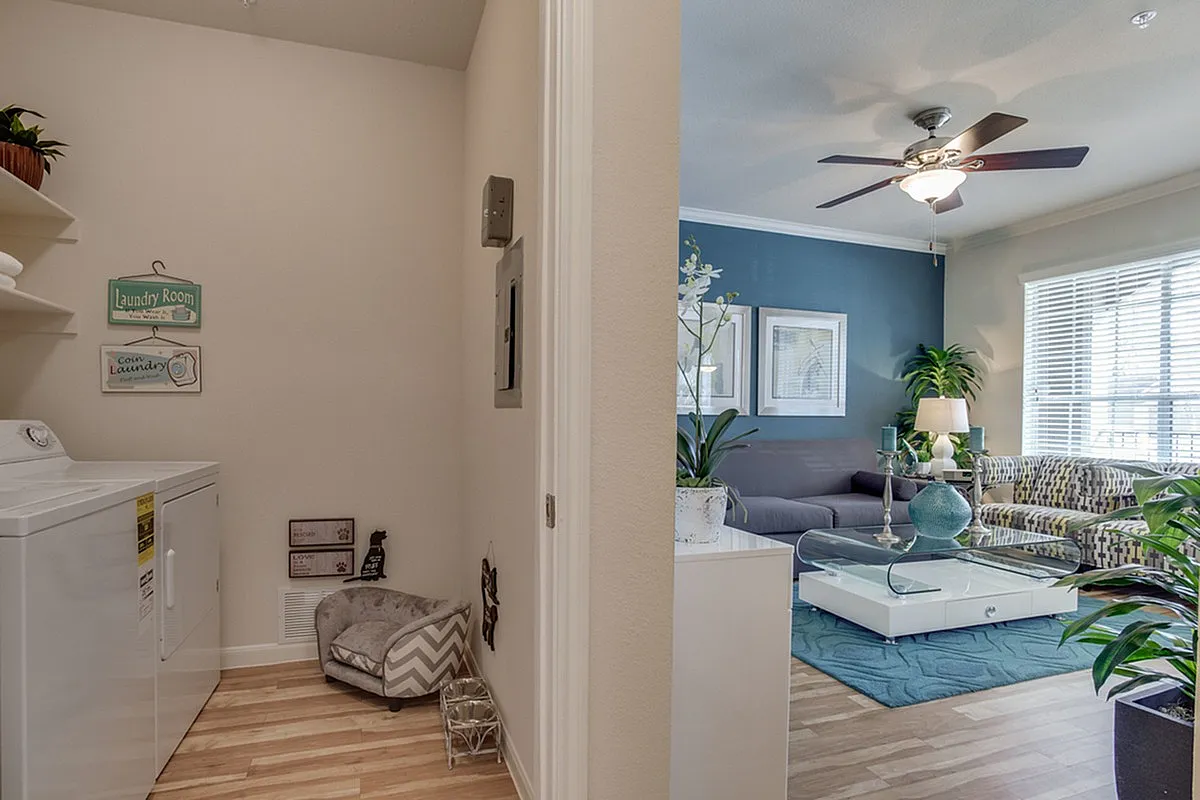 Chic Raveneaux Apartments' apartment interior featuring a cozy laundry nook and a stylish living room with modern decor, abundant natural light, and elegant furnishings.
