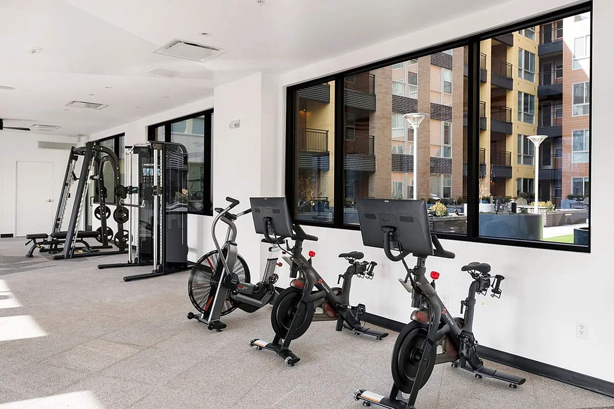 Modern apartment gym at Cottonwood Highland with state-of-the-art exercise bikes and weight equipment, featuring large windows and a view of the stylish building courtyard.