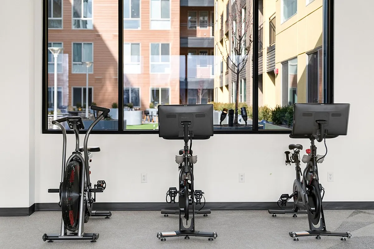 Modern gym at Cottonwood Highland with stationary bikes and large windows offering a stunning view of the apartment courtyard, perfect for fitness enthusiasts.