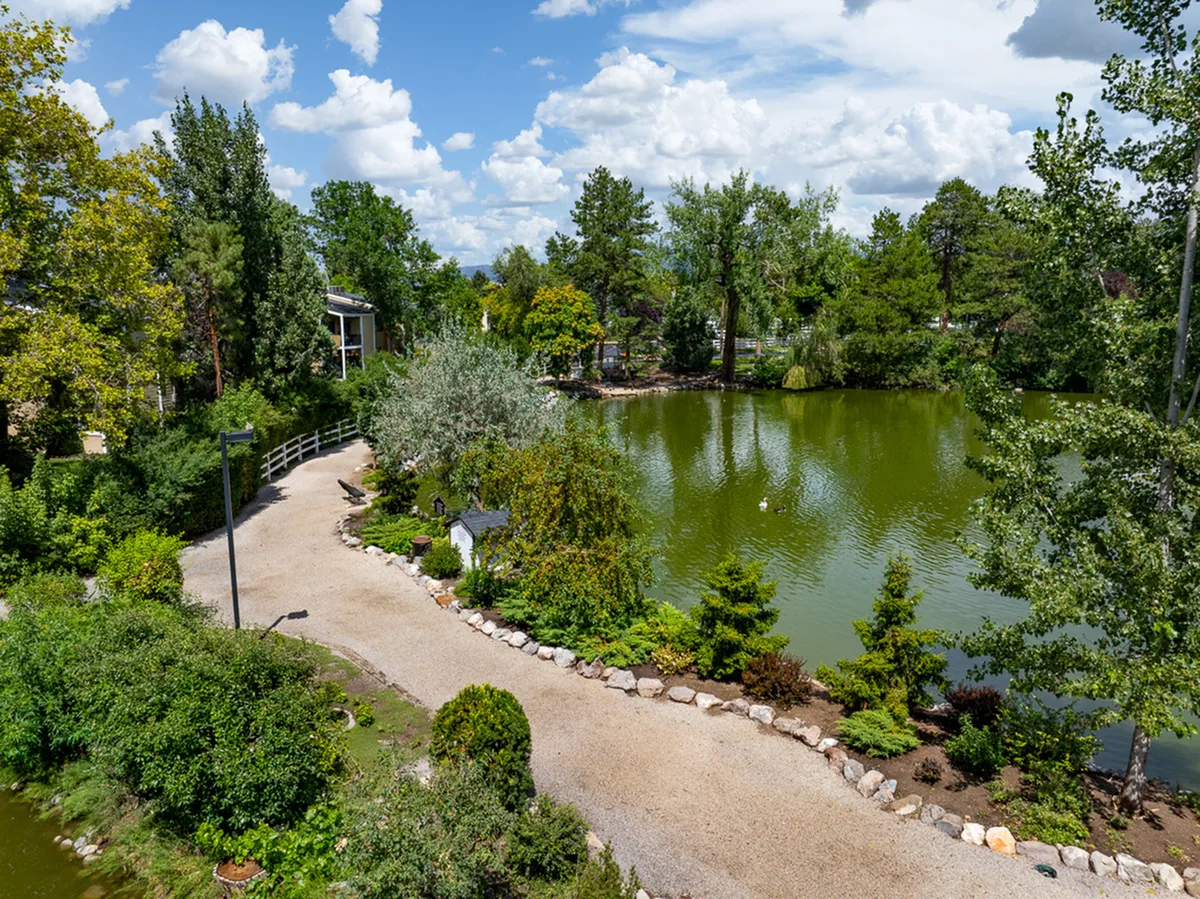 Charming landscape view Fox Point in Old Farm Apartments of a serene pond surrounded by lush greenery and a winding pathway under a bright, blue sky.