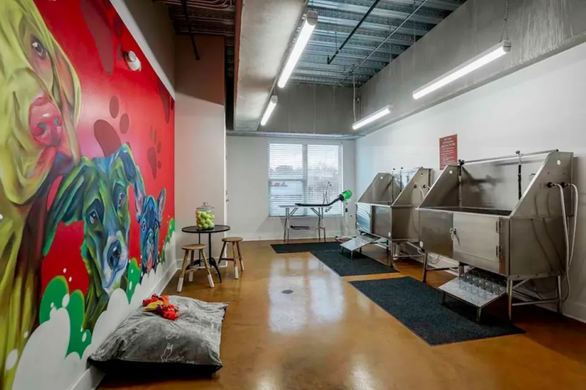Vibrant pet grooming room with colorful dog mural, elevated metal washing stations, and cozy pet bedding.
