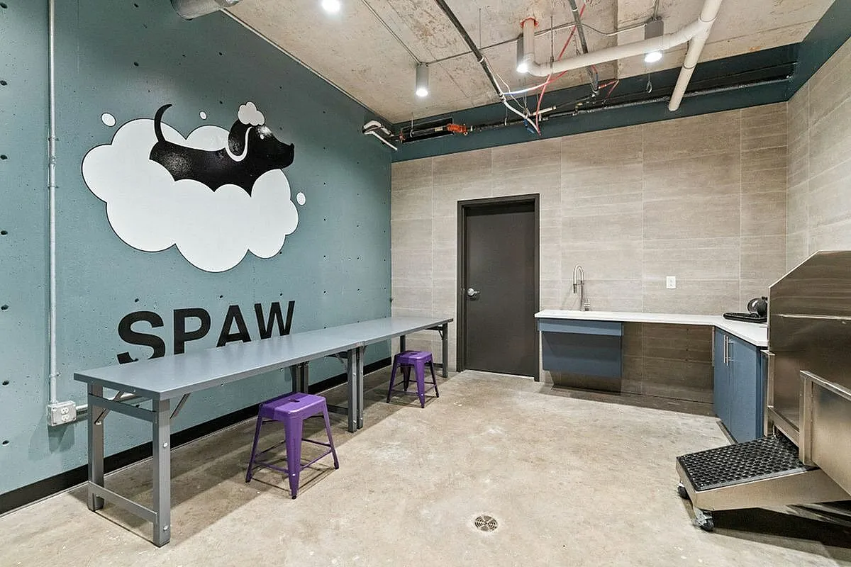 Pet spa featuring vibrant decor, stainless steel facilities, and cozy seating at The Richmond Apartments in Millcreek Utah