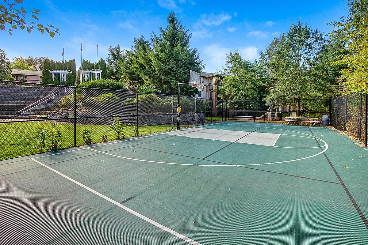 Inviting outdoor basketball court surrounded by lush greenery and a peaceful residential setting at Scott Mountain Apartments.