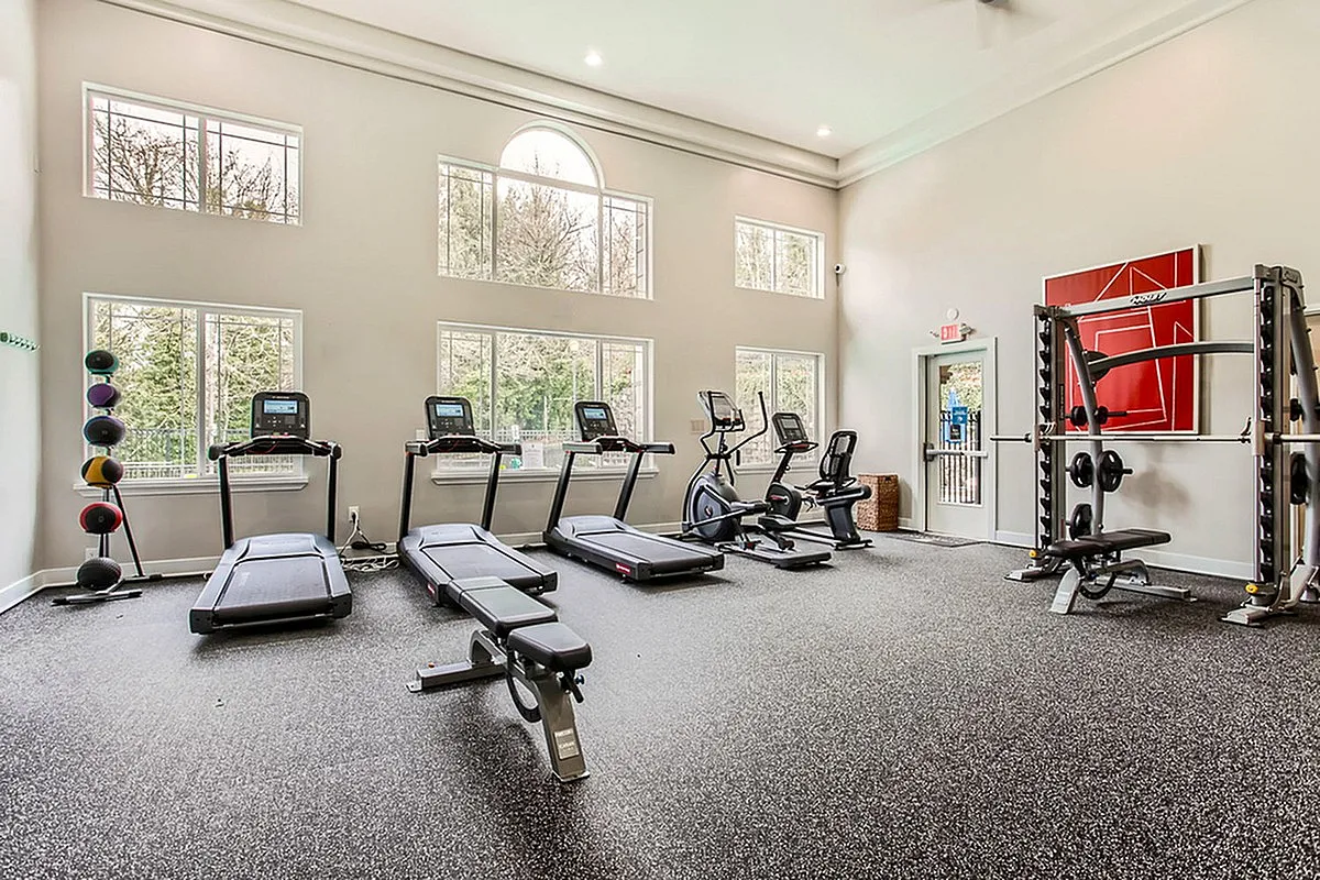 Bright and modern gym at Scott Mountain Apartments featuring state-of-the-art treadmills, elliptical machines, weight station, and large windows for natural light.