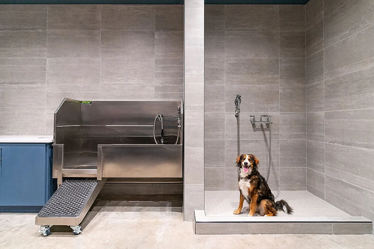 Modern pet-friendly apartment featuring a stylish dog washing station with sleek stainless steel fixtures and spacious tiled design at The Richmond in Millcreek.
