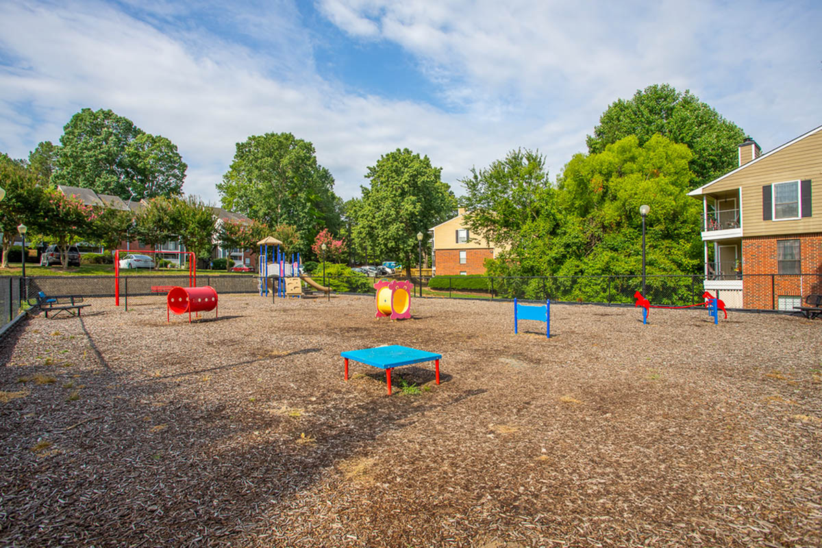 Autumn Ridge Apartments' pet-friendly dog park surrounded by lush greenery, featuring colorful slides and play structures, perfect for family fun.