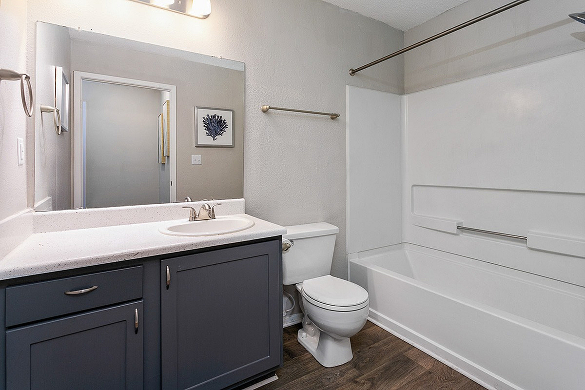 Elegant bathroom at Park at Oak Ridge Apartments with stylish navy vanity, modern fixtures, and a pristine bathtub against sophisticated gray walls.