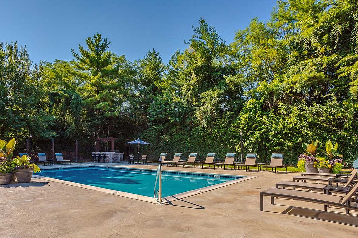 Inviting outdoor pool area at Timber Hollow Apartments surrounded by lush greenery, featuring elegant lounge chairs and vibrant potted plants.
