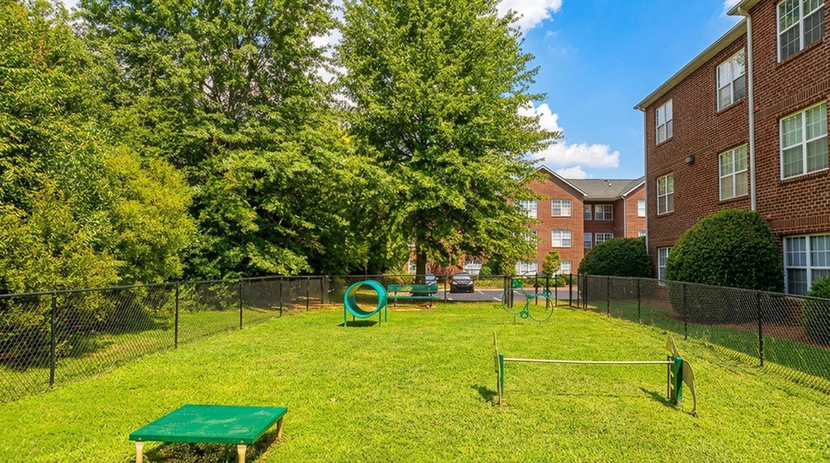 Vibrant outdoor dog park at Morgan Ridge Apartments surrounded by lush greenery in a charming apartment community.
