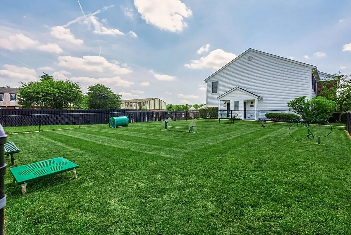 Charming residential backyard with lush green lawn, perfect for relaxing, and features playful dog park obstacles set against a sunny sky backdrop at Alkire Glen Apartments in Columbus, OH.