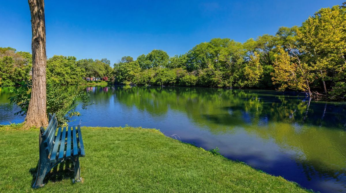 Serene lakeside view with a charming park bench under lush green trees, perfect for relaxation and nature enjoyment at Timber Hollow Apartments