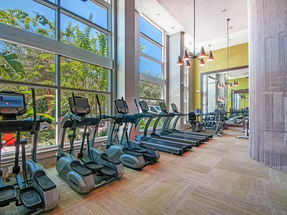 Modern fitness center at Cottonwood Bayview with large windows, natural light, and state-of-the-art equipment including treadmills and ellipticals.