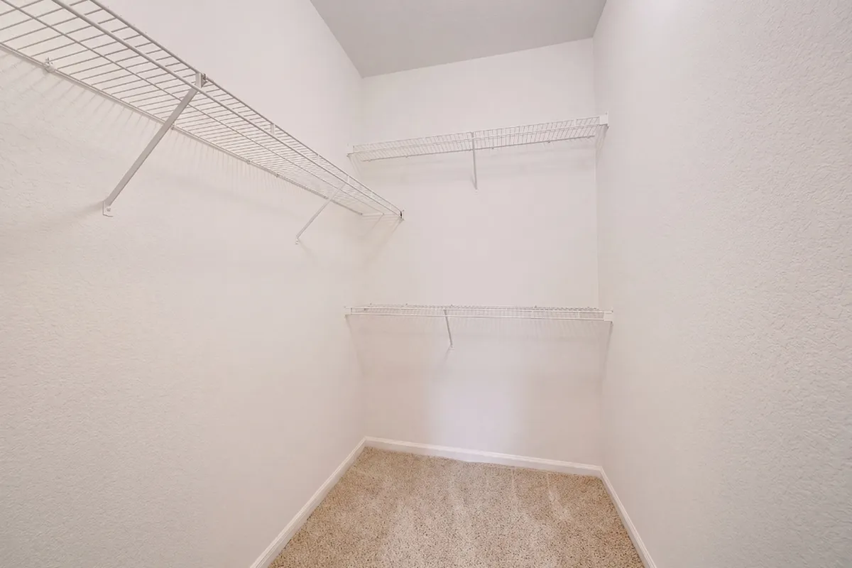 Spacious walk-in closet with ample shelving and plush carpeting, ideal for organized living.