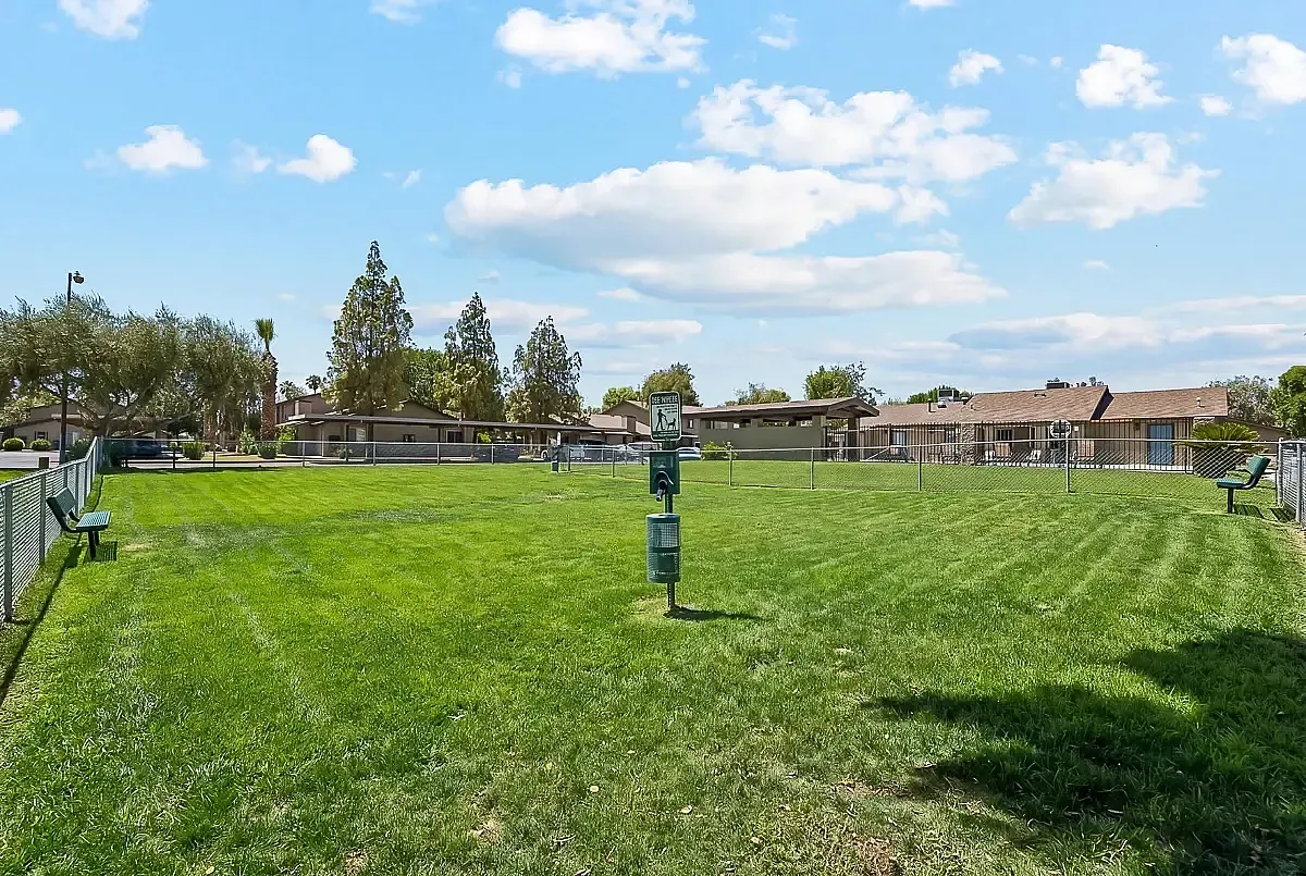 Expansive pet-friendly dog park with grassy area perfect for relaxation, featuring lush greenery, benches, and a clear blue sky, creating an inviting outdoor space at Camelot Apartments in Yuma.